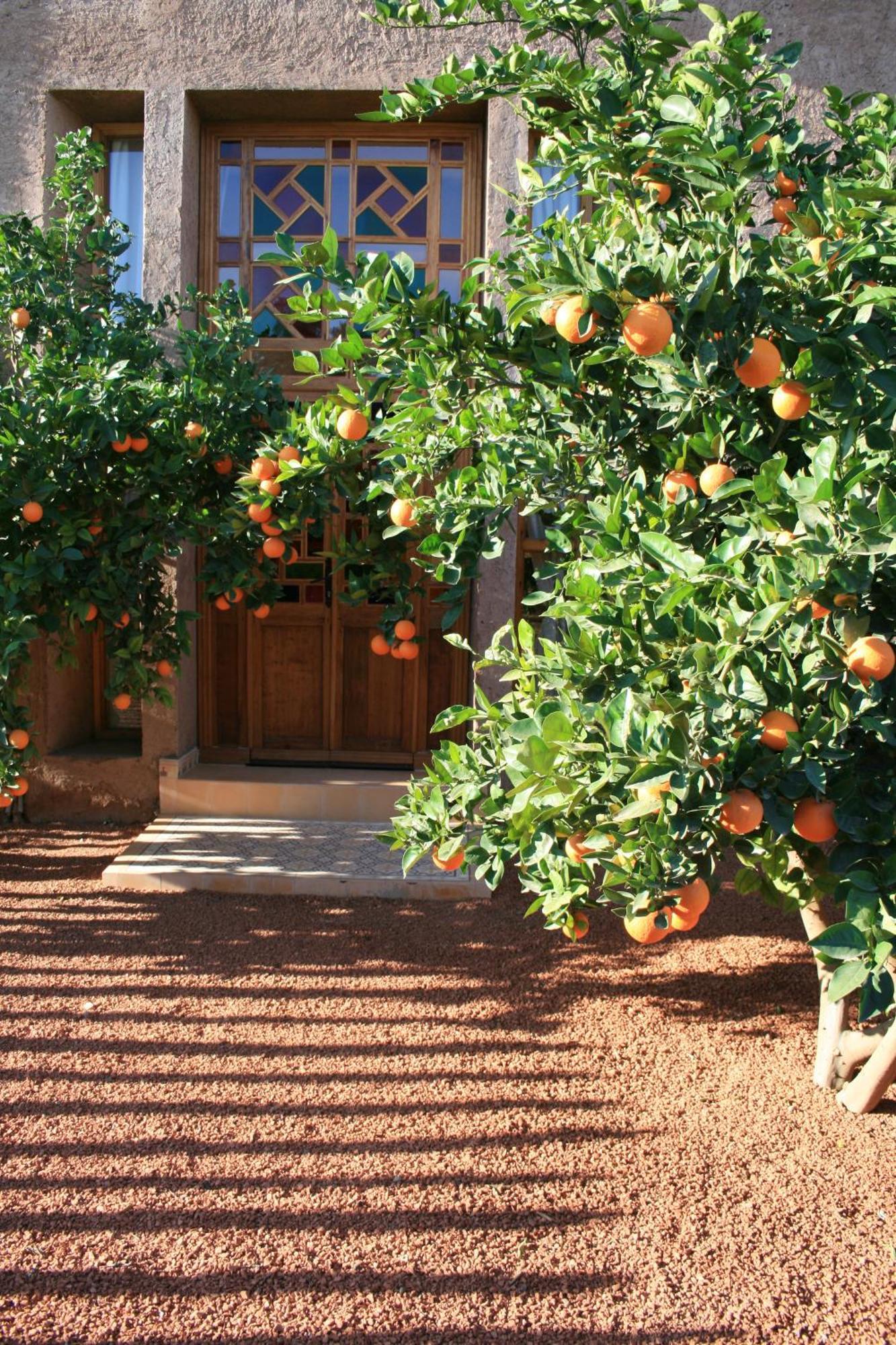 Отель Casa Taos Douar Azib el goundafi Экстерьер фото